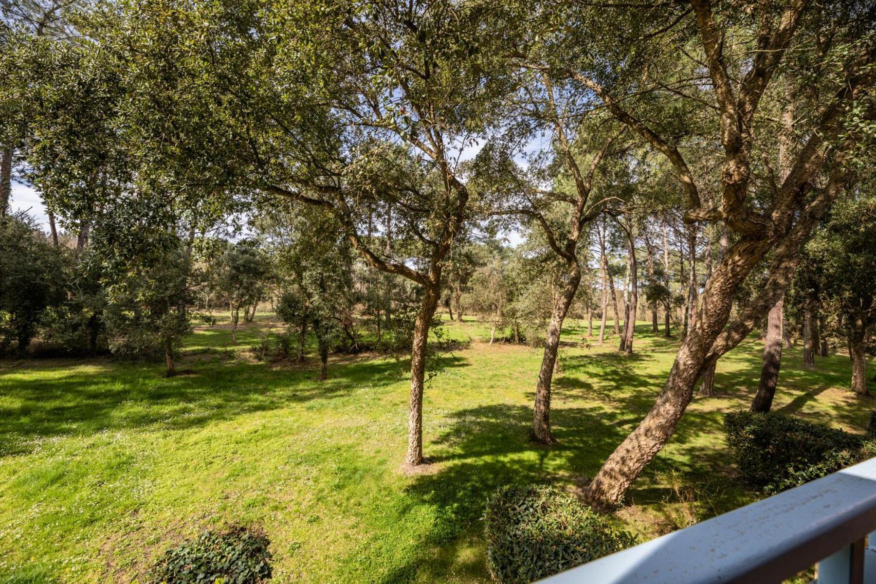 Le Domaine Du Golf De Pinsolle - Maeva Home - Appartement 2 Pieces 5 Personnes - Confort Mae-2674 Сустон Екстер'єр фото